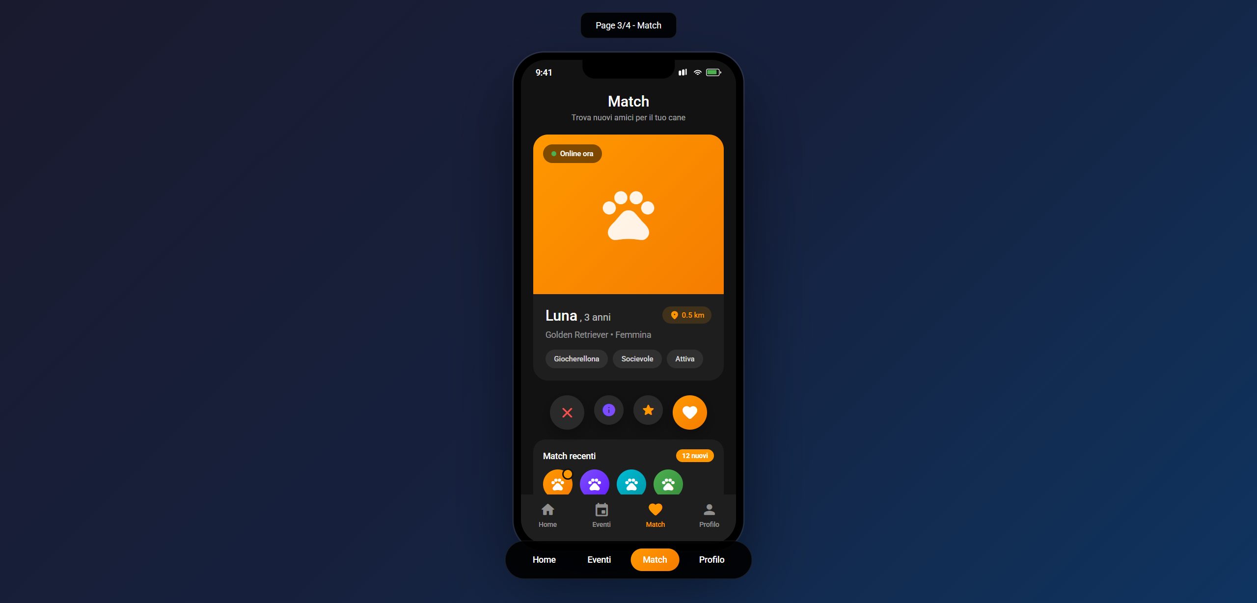 DogsParty - App Social - DogsParty - 3